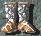 bottes de furtivit